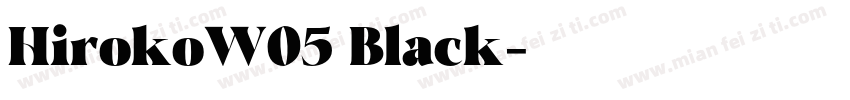 HirokoW05 Black字体转换